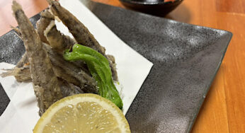 メヒカリ料理発祥の店で味わうサクッふわっ！の絶品唐揚げ－日本料理 高浜 / 延岡市