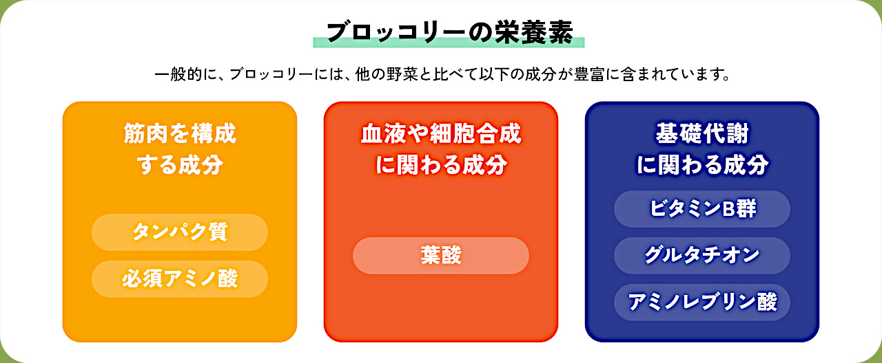 ブロッコリーの栄養素