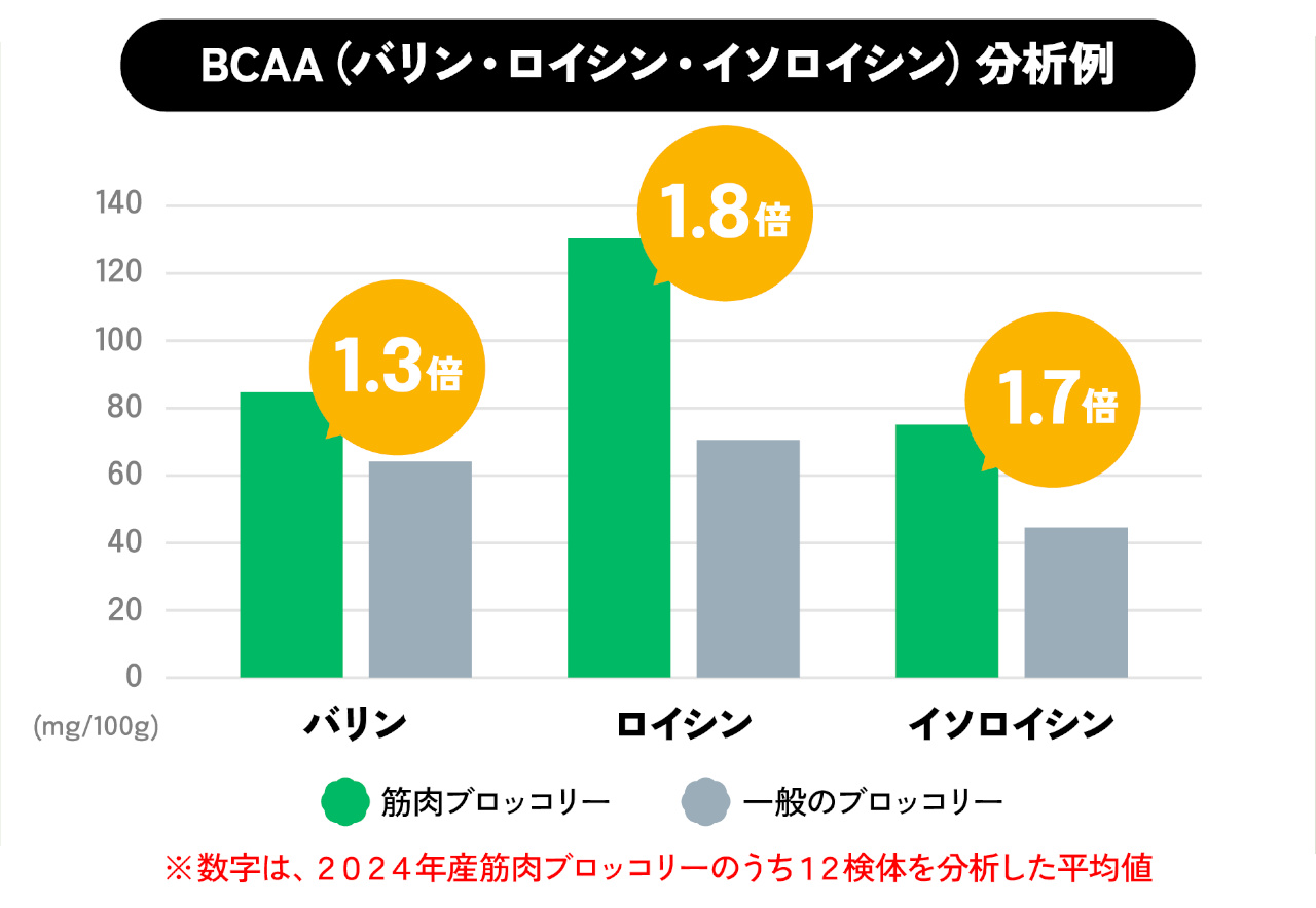 BCAAの分析結果