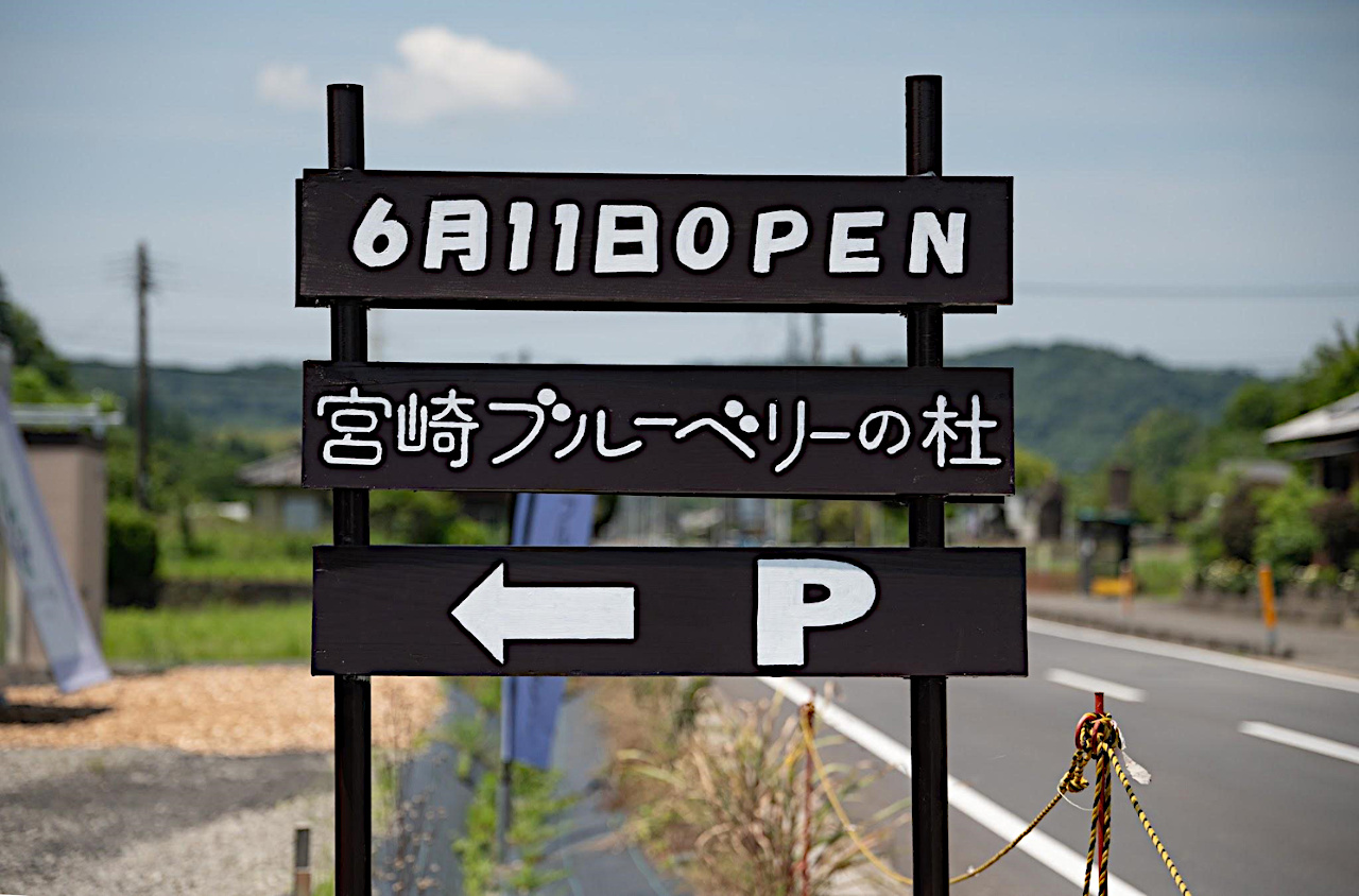 案内看板