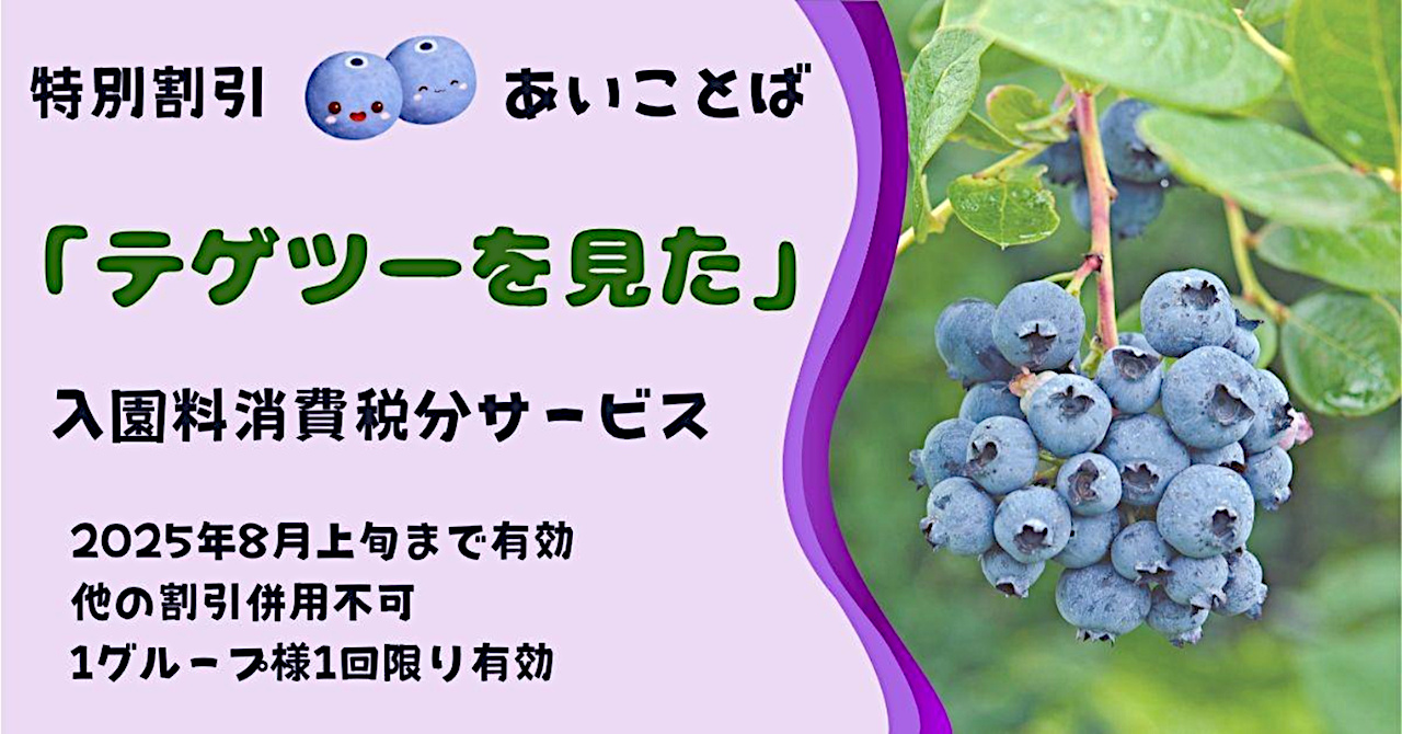 テゲツー!特典