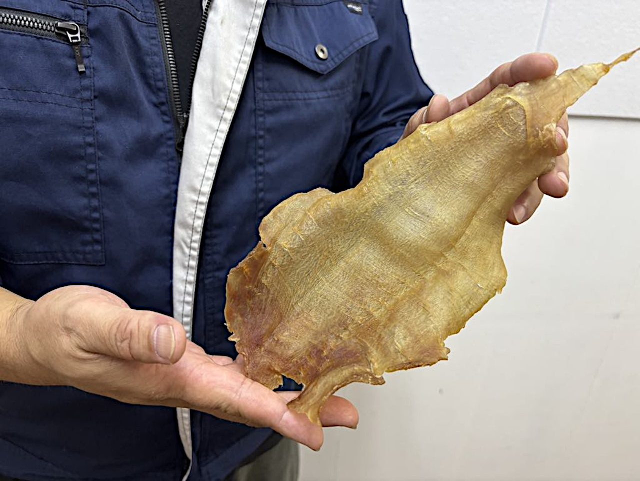魚肚