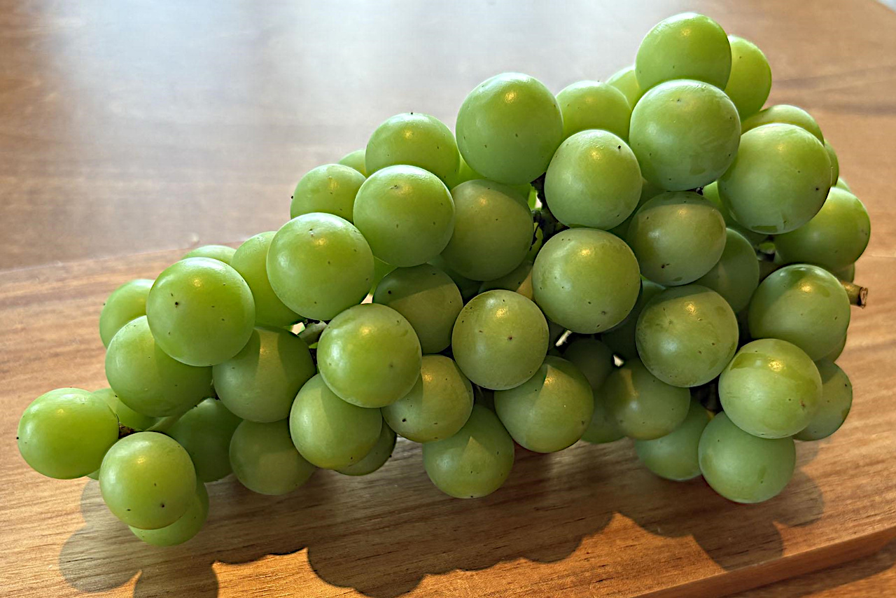摘果された青ぶどう