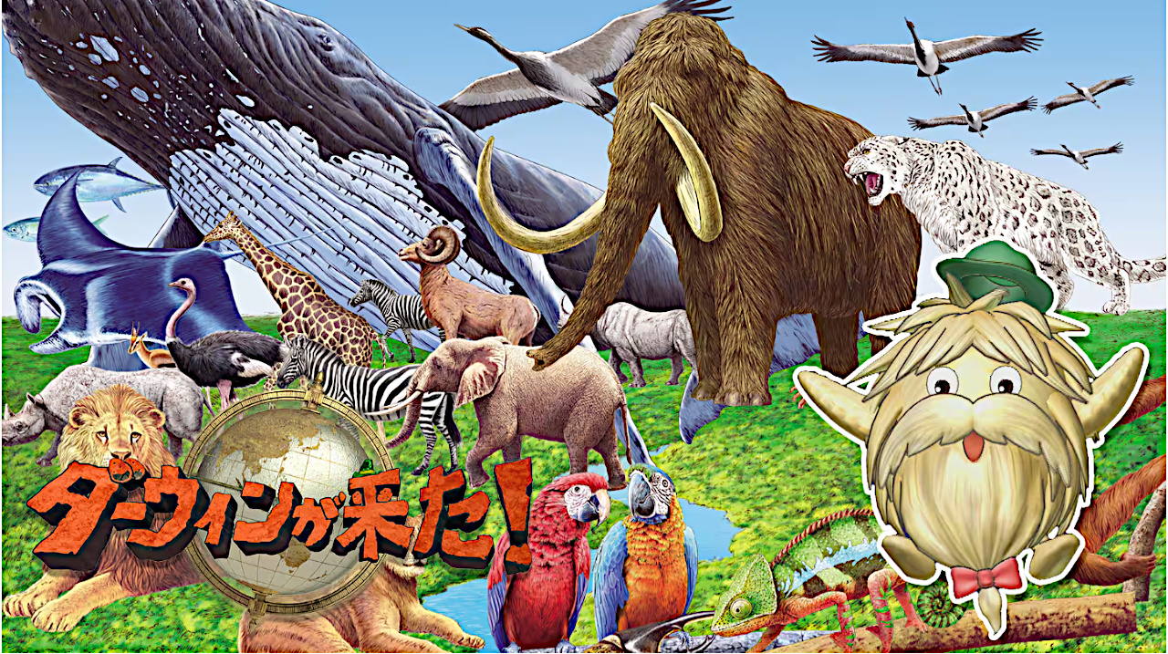 ダーウィンが来た!