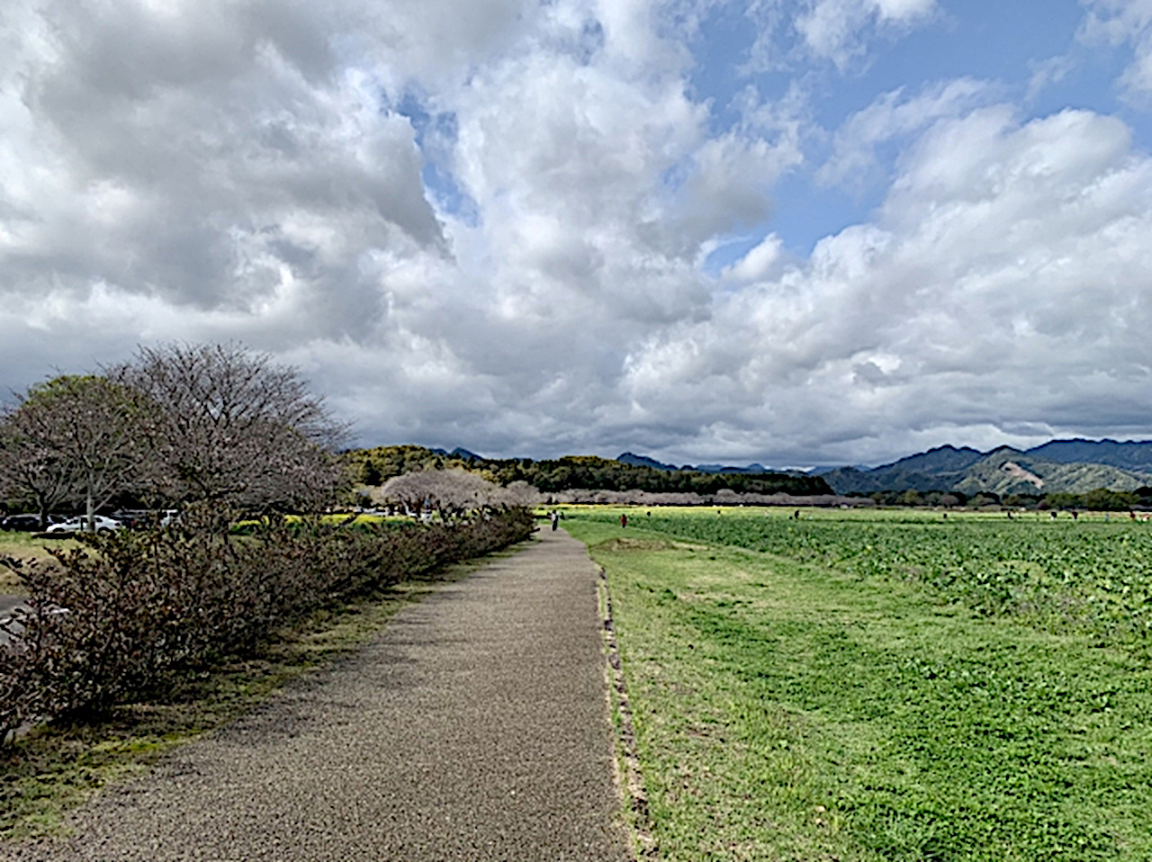 西都原古墳群