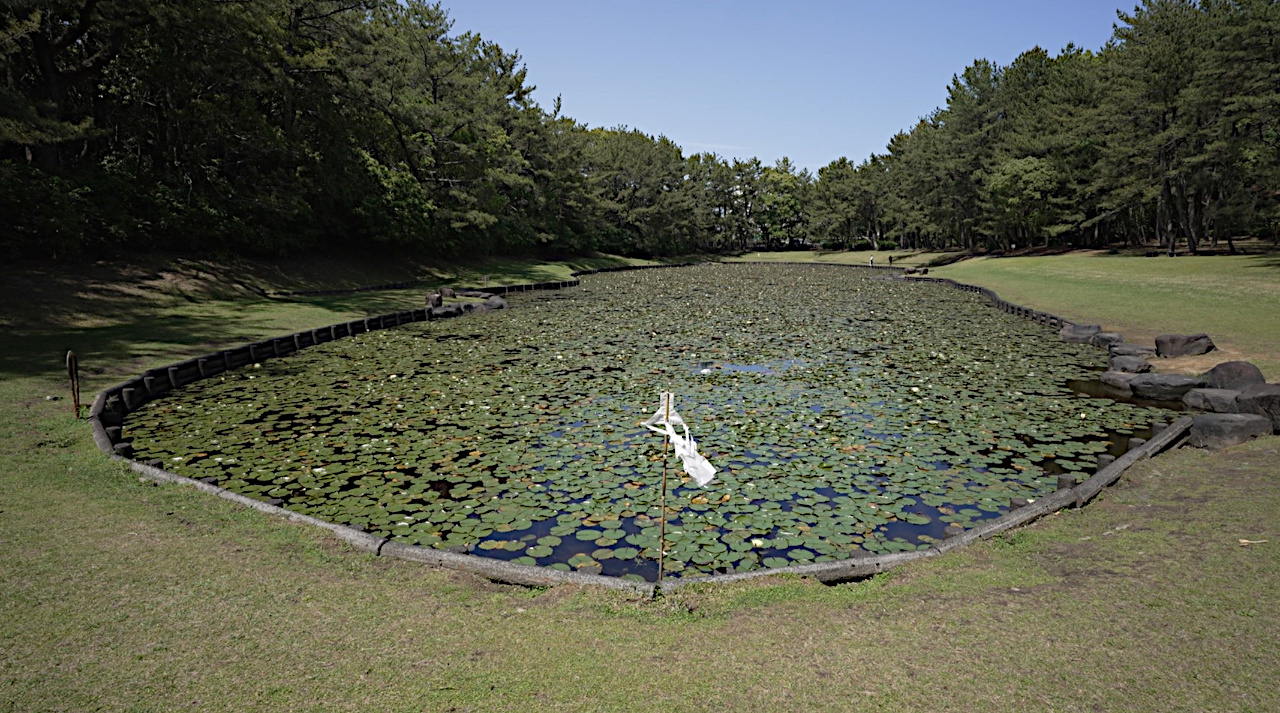 みそぎ池全景
