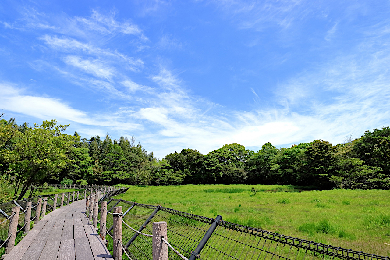 高鍋湿原