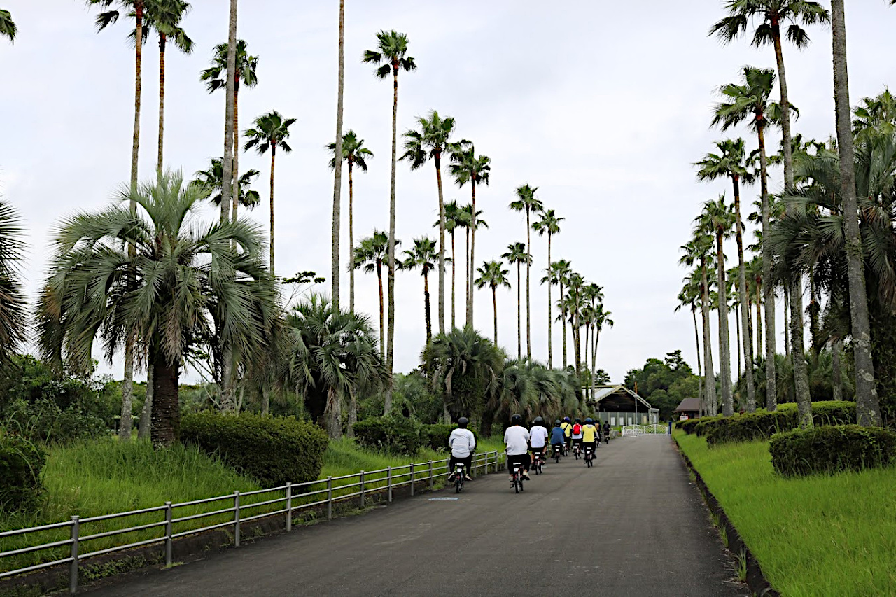 運動公園の中の道を進む