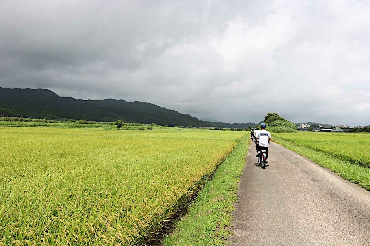 田んぼの中の道を行く