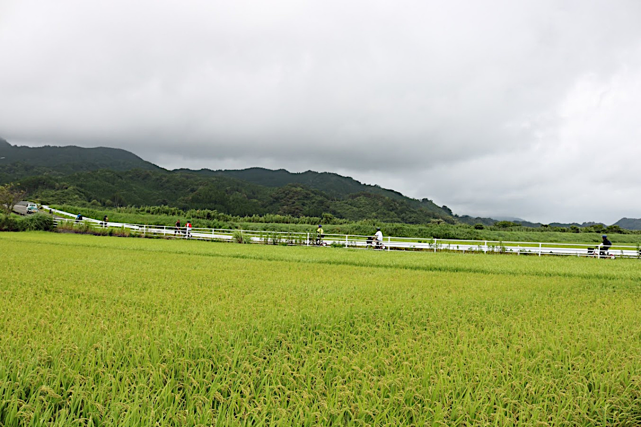坂道も楽々