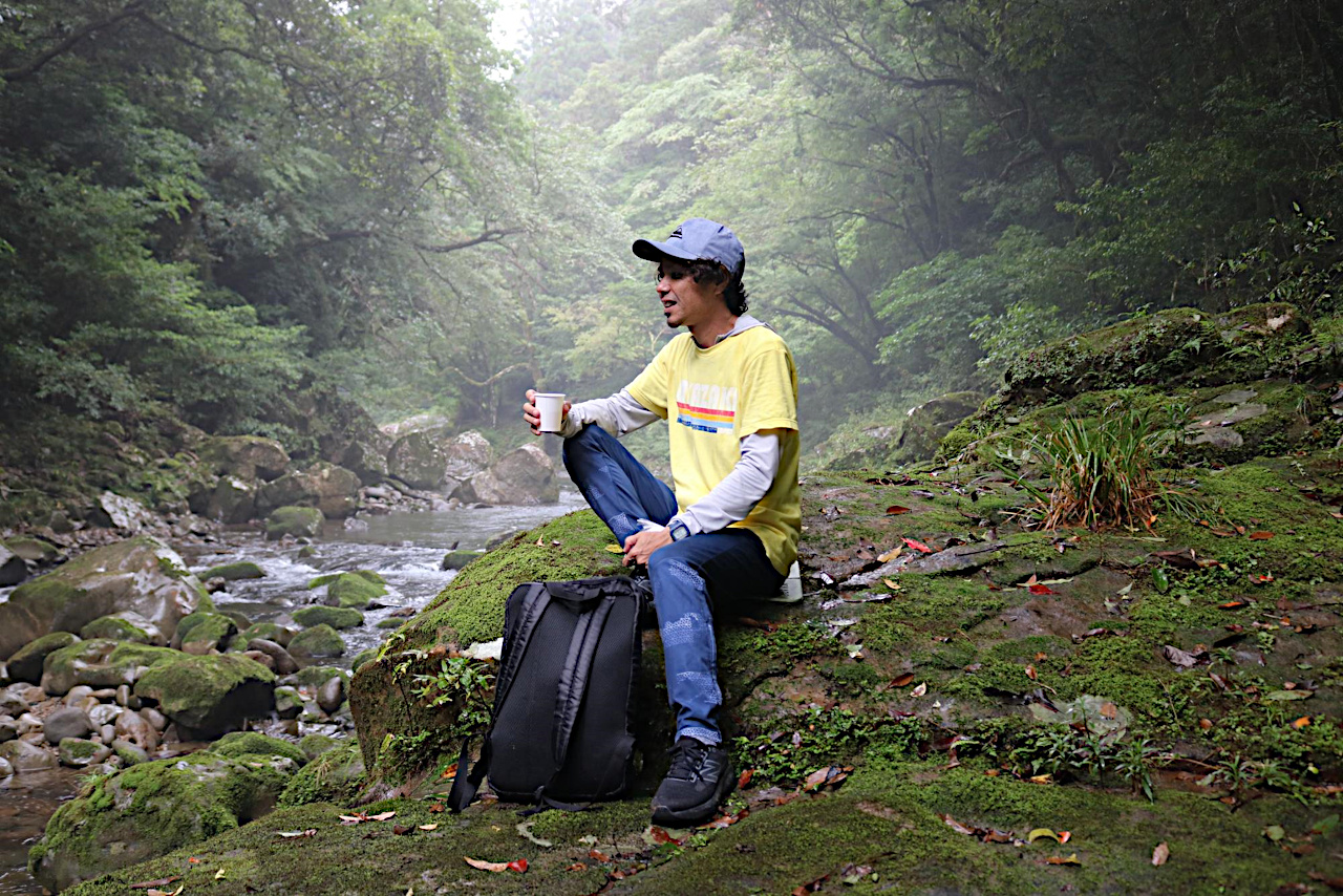 苔むした岩